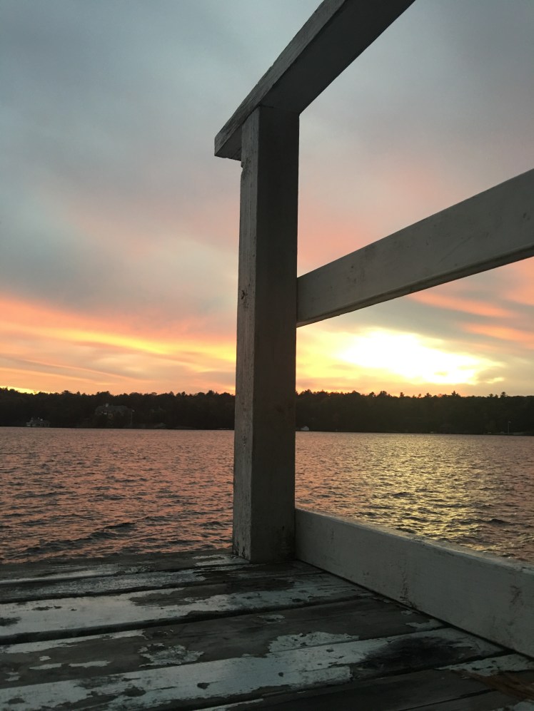 88C35C51-C751-41C8-AEE1-4BA4C1BBB42D