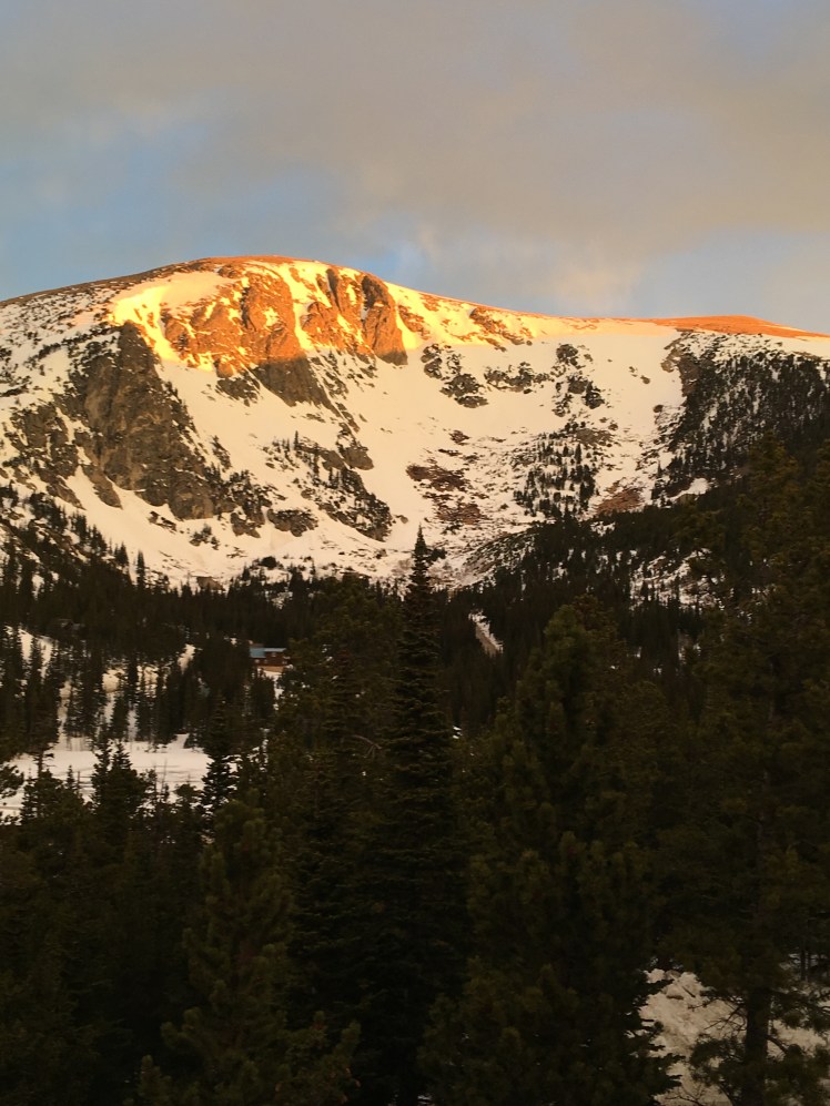 EF9D7244-C210-41E3-BADF-FA469B62882E