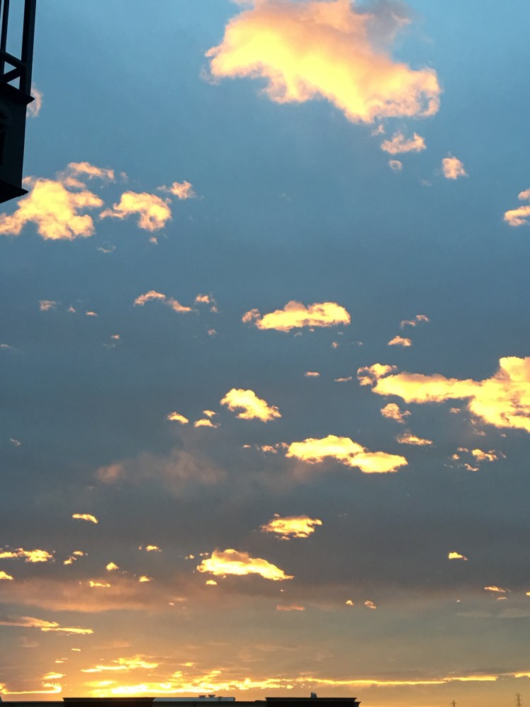 30BDEA1A-EF48-44D1-A33F-A0B071D52DF4