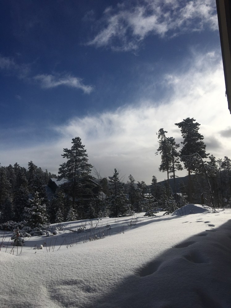 776D2B5E-474C-4B9F-850C-7F4E75A9A823