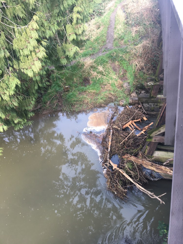 4C40BDE6-7FDC-48C3-8036-024E839A0541