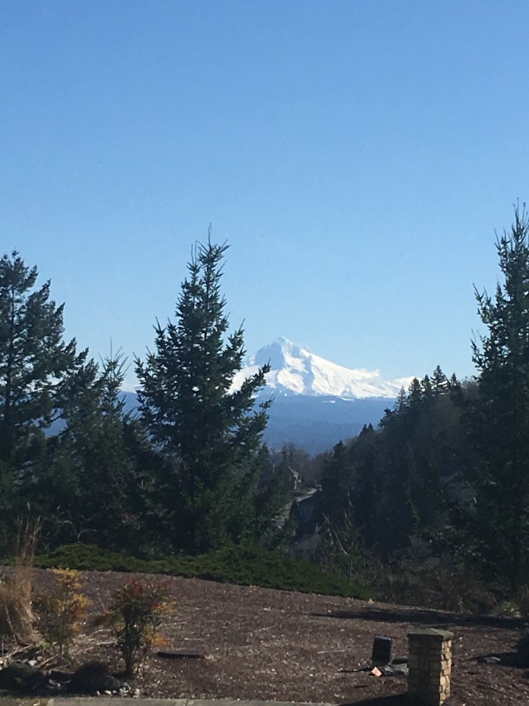 C1671C49-2977-4F92-A40F-16A1923D19D7