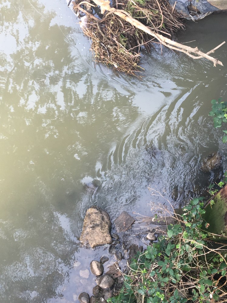 F39AF3CC-1B10-49A3-81AE-36FCFECA792B