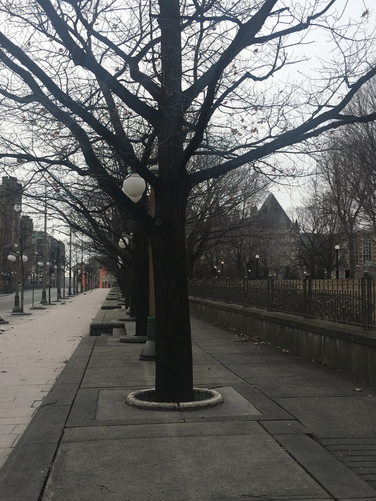 79286FC2-8AF7-4E6B-AD41-F4AD85E3384C