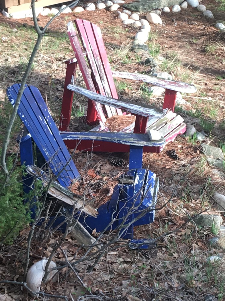 449B4A79-C2D4-4015-9EF7-2F1944C88B91