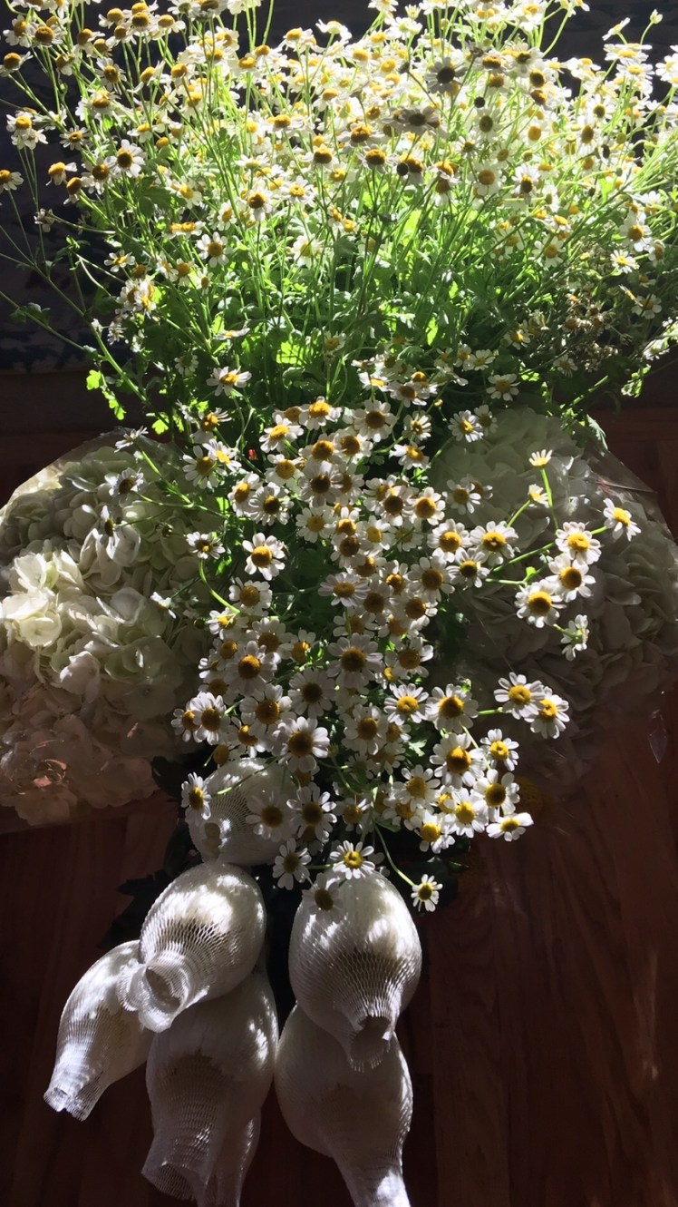 3A75C309-01B1-46BF-8251-E988DCF5C156