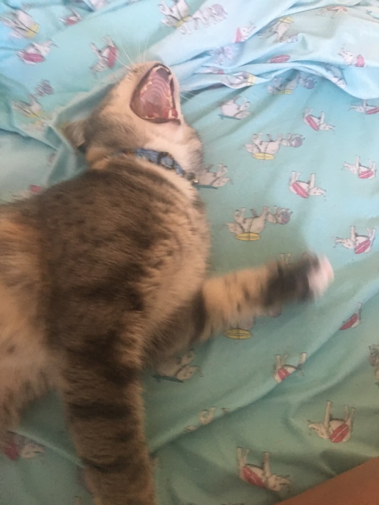 CB7DD8FD-7927-4B90-84DC-B6C9281231F4