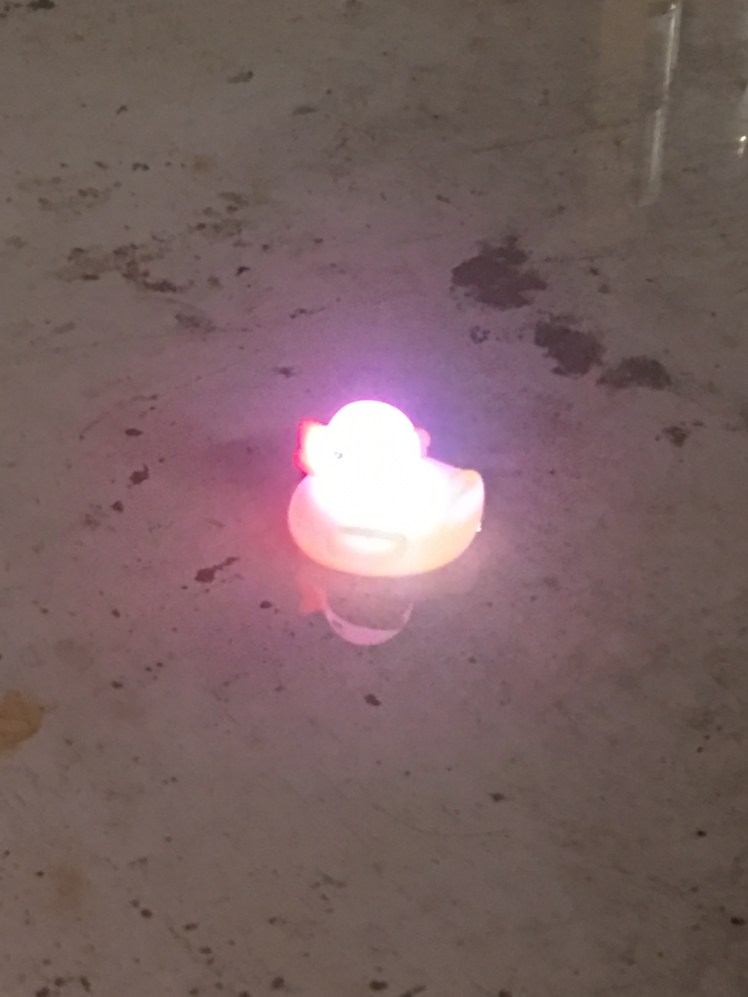 47CE6E4D-3CFF-48DF-8838-93D4F91CF5CE